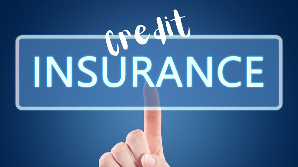 Credit Insurance